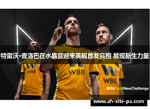 特雷沃·查洛巴在水晶宫迎来英超首发亮相 展现新生力量 特雷沃·查洛巴在水晶宫迎来英超首发亮相 展现新生力量
