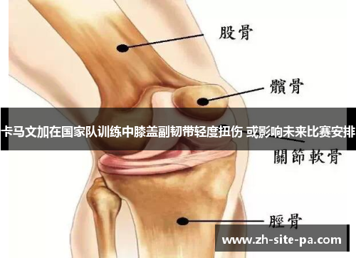 卡马文加在国家队训练中膝盖副韧带轻度扭伤 或影响未来比赛安排