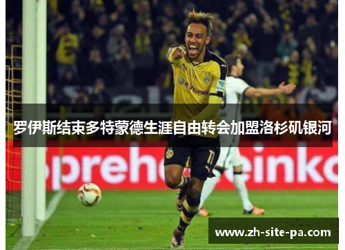 罗伊斯结束多特蒙德生涯自由转会加盟洛杉矶银河 罗伊斯结束多特蒙德生涯自由转会加盟洛杉矶银河