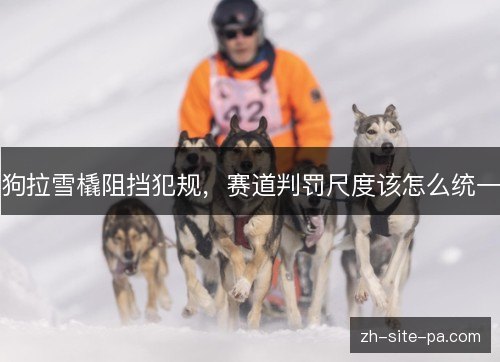 狗拉雪橇阻挡犯规，赛道判罚尺度该怎么统一